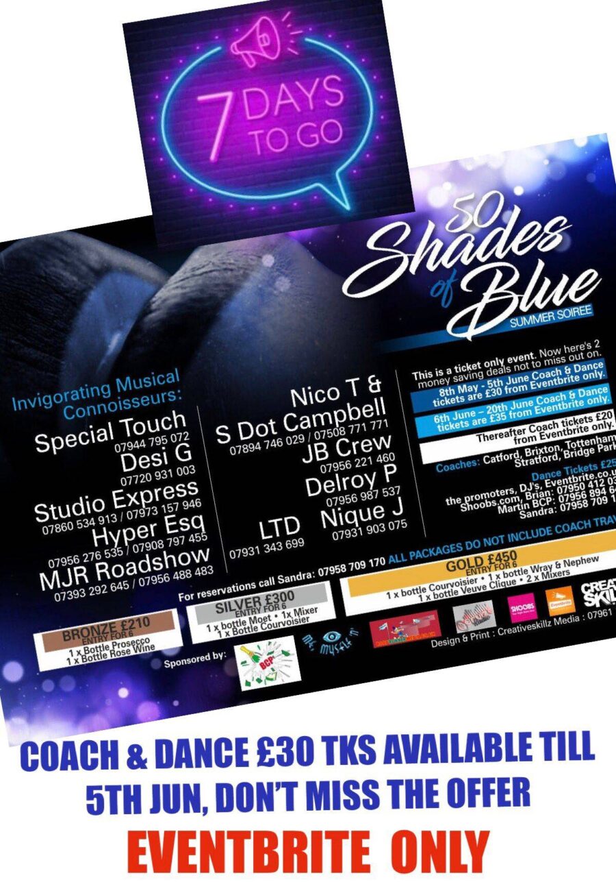 50 Shades of Blue Summer Soirée, the classy elegant day party.